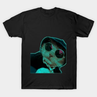 Cool cat T-Shirt